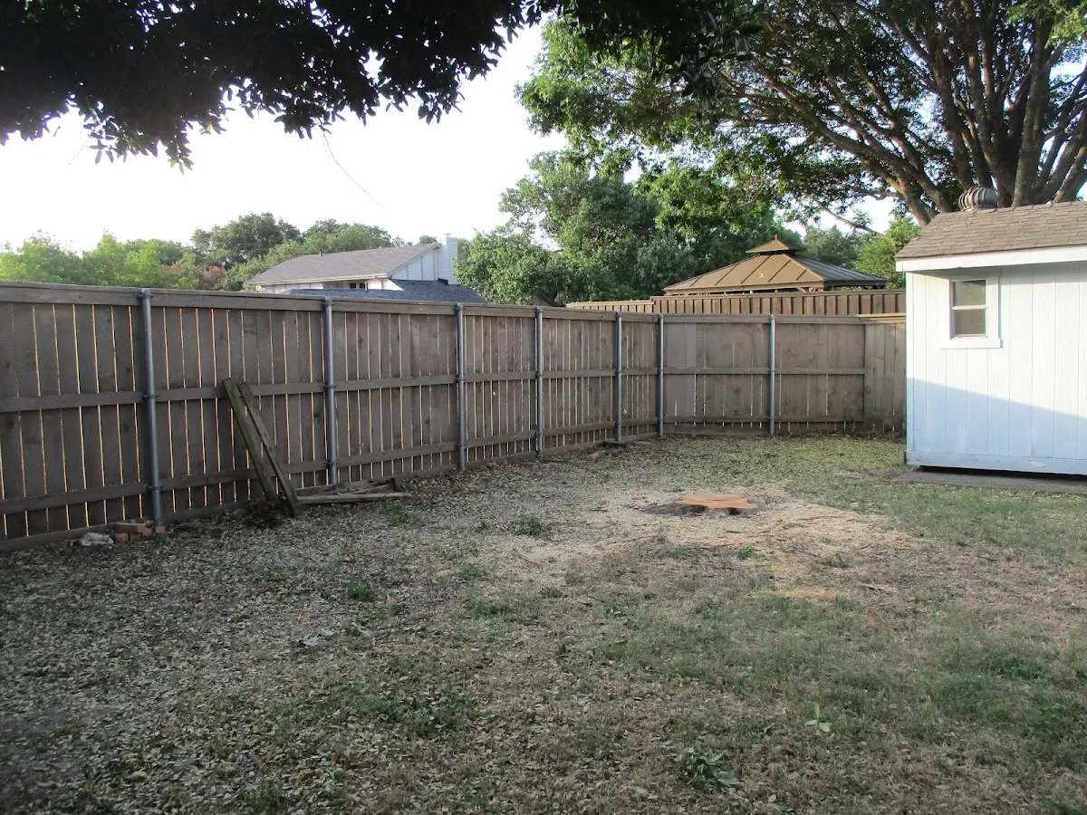 Cleared yard after professional tree removal in Colquitt