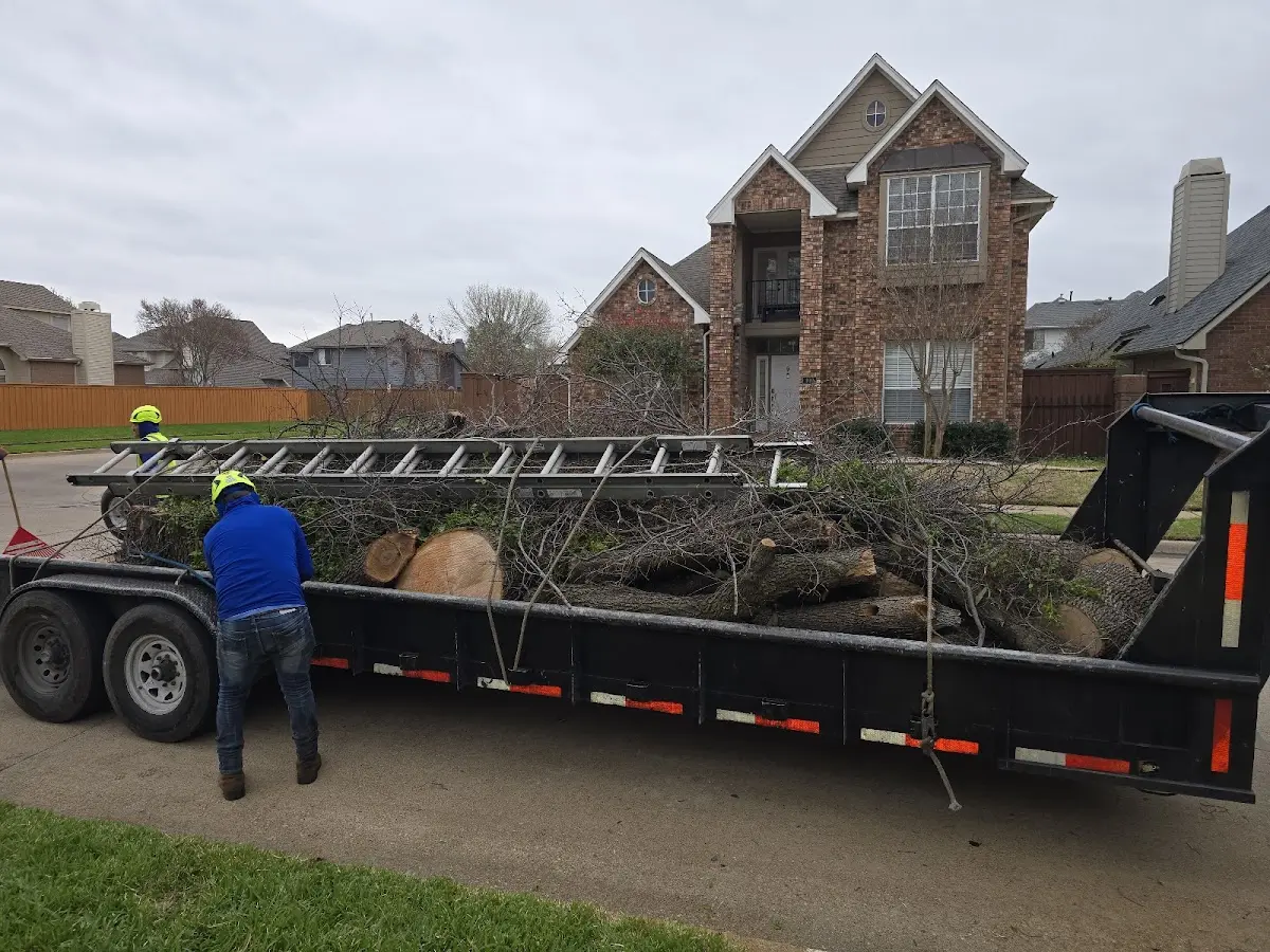 Expert Tree Fertilization with proper safety equipment in Colquitt